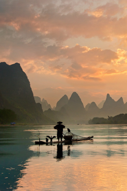 sundxwn:  Golden Li River by Yan Zhang  ×