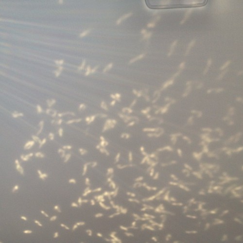 XXX The sun makes my car sparkle #sparkle #roof#of photo