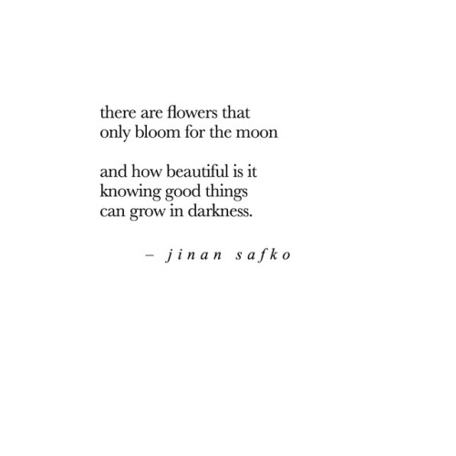 Follow For More Poems On Instagram >> Jinan Safko