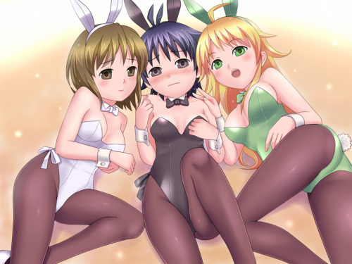 bunnysuit