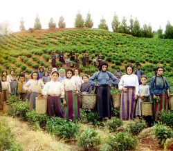 feminismisahatemovement:  thebeautyofrussia:  Russian Empire color pictures, taken during the 1910s (1909-1915), by Sergei Mikhailovich Prokudin-Gorskii. Library of the Congress  I love this series of photos and there are some here I hadn’t seen before,