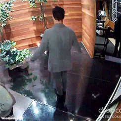 whenisayrunrun: Benedict dancing ^^
