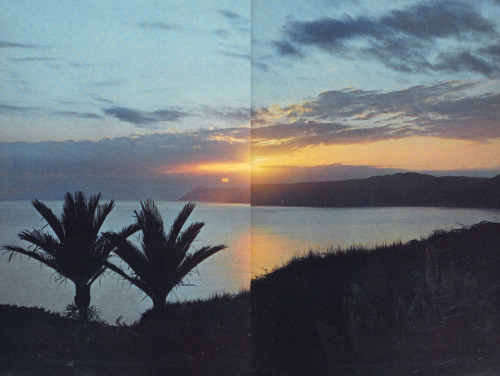 equatorjournal:  Sunrise at Te Araroa, 1969.