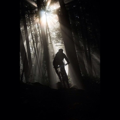 transparentcitizen: Silhouette. [photo by: Matthew Hall @ 500px.com