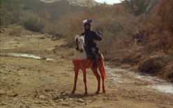 communicants: The Dove’s Lost Necklace (Nacer Khemir, 1991)