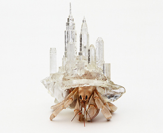  Aki Inomata’s | Crystalline 3D Printed Hermit Crab Shells are Inspired by the