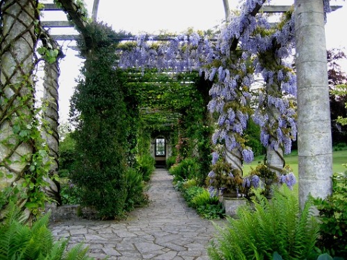 nordicsublime: West Dean Gardens - Historic Houses Association