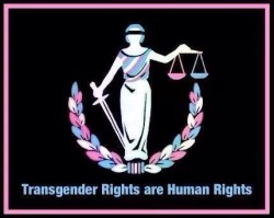 happydysphoria:  I’m not going to apologize for being open about supporting MY OWN HUMAN RIGHTS.