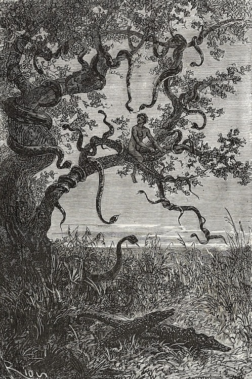 magictransistor:  Édouard Riou, Voyage au centre de la Terre (Journey to the Center of the Earth), Jules Verne, 1864.