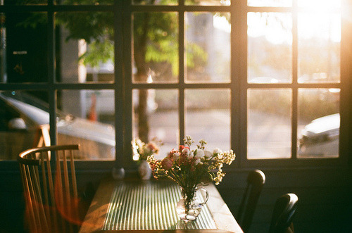 شمّا,*