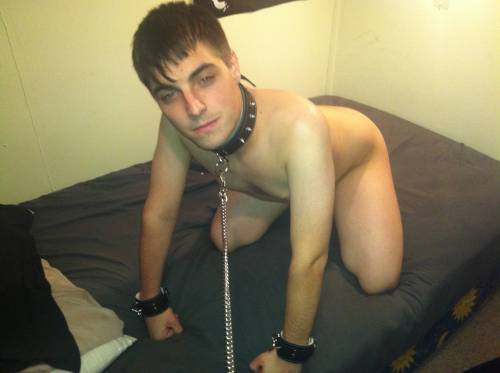 XXX mastera6:  This boy is cute and collared, photo