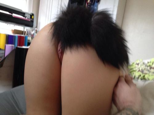 thebearatthedoor:  Kitten and Master enjoy her first tail 