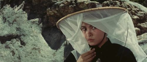 kansassire:A Touch of Zen, 1969, King HuFile Under: Fabrics on Film (particularly in ‘Asian’ cinema)