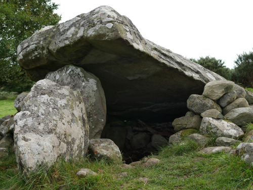 Cors y Gedol Burial Chamber, near Barmouth, North Wales, 13.8.16. This portal dolmen has an amazing 