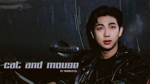 Cat And Mouse | Kim Namjoon