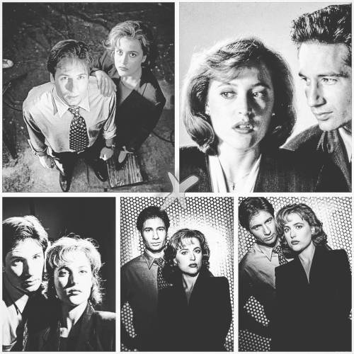#thexfiles #Mulder #scully #gilligananderson #davidduchovny