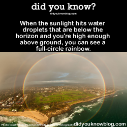 did-you-kno:  Which is why these people saw one at Niagara Falls. Source