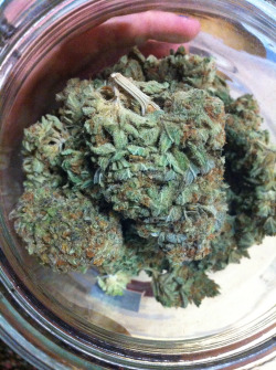 packthat-bowl:  Some beautiful nugs of The