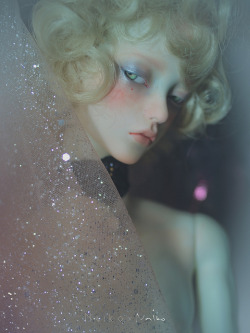 shinefryt:_B092413 by nplus-bjd on Flickr.