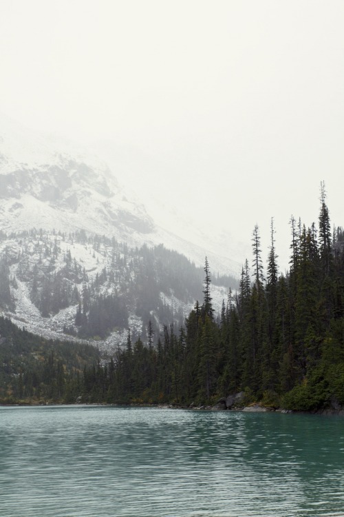 vhord:  strictly nature