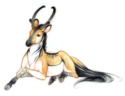 speedo-trolls:  alittledeer:  rozenn-blog:  Vous les connaissez déjà, mais les voici en grande taille ! ^^  THIS IS LIKE…. A PRONGHORN ZEBRA UNICORN IM SO HERE FOR THIS OMG  I 