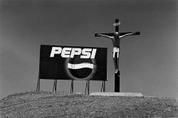 Elliott Erwitt - Valdes Peninsula, Argentina,