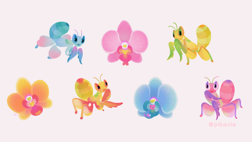 pikaole:  Orchid mantis [ Patreon / twitter / instagram / Galaxy themes / LINEstore / shop 2 / print