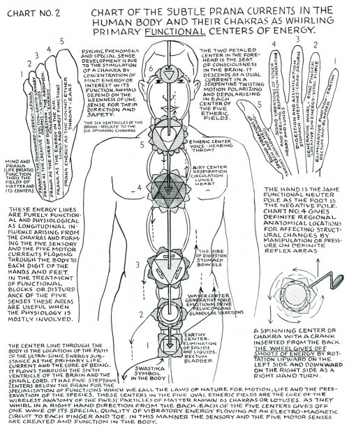 metanoia-world:Polarity Therapy  Charts 1-10 &ldquo;The Wireless Anatomy of Man&
