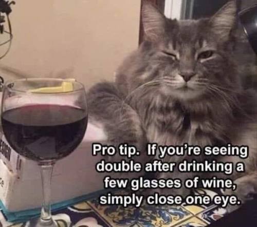 I thought that said, if you are having a double after drinking a few glasses of wine……