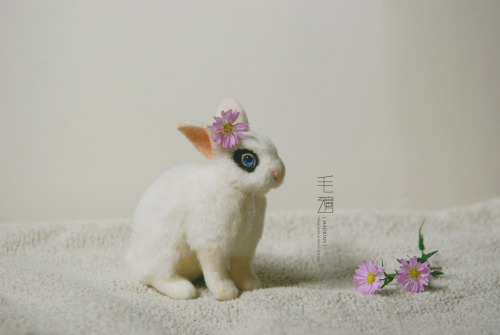 ▋ Hotot Rabbit ( custom-made ) Sculpture approximately 6.5 x 13.5 x 11 cm ( not including ears )