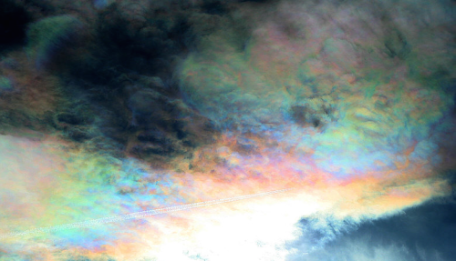 nubbsgalore:  photos of cloud iridescence — caused as light diffracts through tiny ice crystals or water droplets of uniform size, usually in lenticular clouds. (photos) 