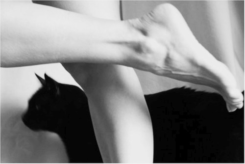 EROS E THANATOS +21 NSFW
