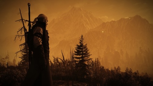 witcher photography