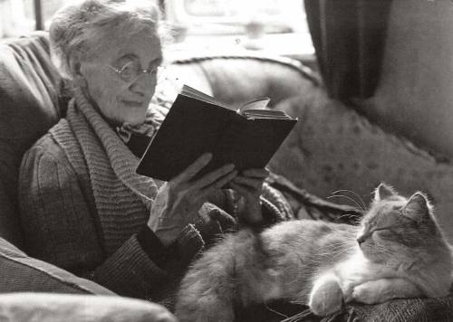 henk-heijmans:An elderly woman reading a book with a cat on her lap, 1944 - Corbis Historical