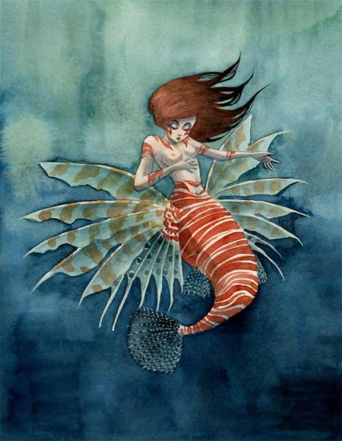 reneenault:  This Friday’s mermaid is based on a lionfish! You can get prints of all my Friday mermaids in my Etsy shop or my web shop. Also, the mermaid postcard set is now available! See all the weekly mermaids so far here. 