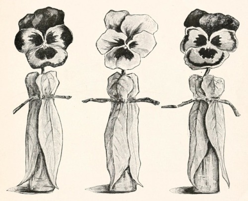 Mary Isabel Hunt - Lady Hollyhock and her friends - 1917 - via Internet Archive