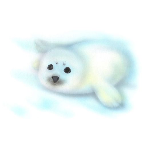 Junya Uzawa 新しいアザラシ描きました ノ Junya Uzawa 新しいアザラシ描きました ノ