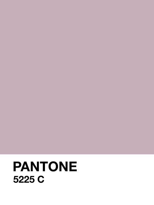 pantone inspirations • duskdownload