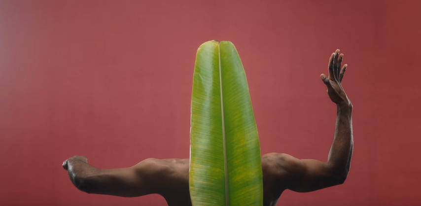 scr33ncaps:    Corinne Bailey Rae - Green Aphrodisiac   