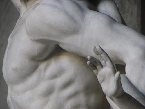 honni-soit:Detail of a statue of Laocoön and his sons (c 1st cent. BC/BCE)Vatican MuseumPhotograph b