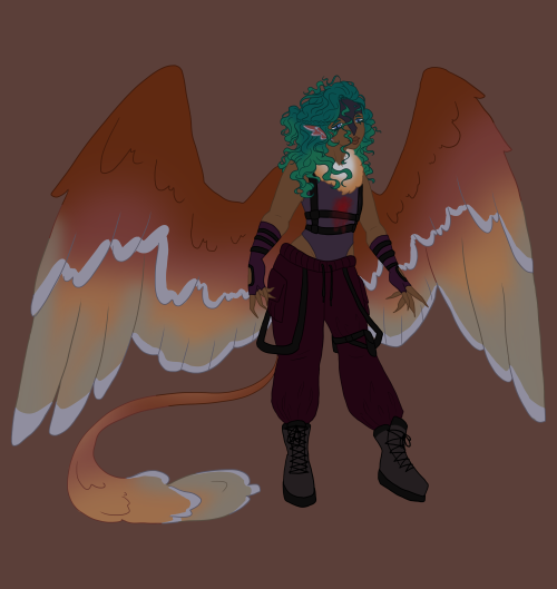 Have Joined Another DnD Campaign