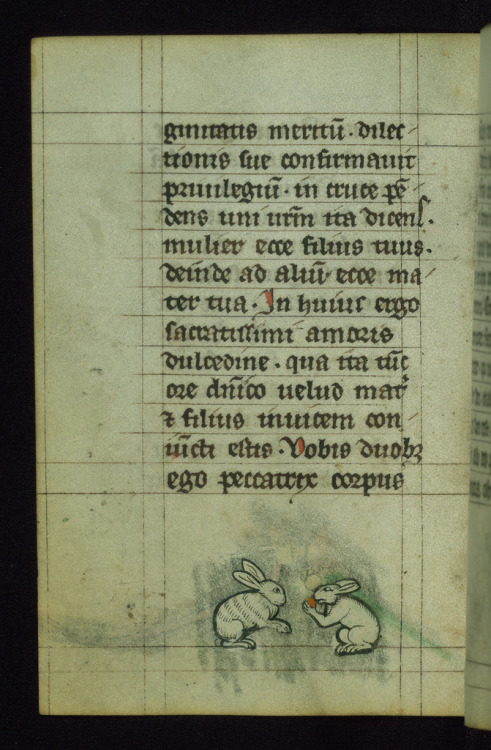 jothelibrarian: Pretty medieval manuscript of the day depicts two rabbits… one eating, and th