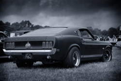 ford-mustang-generation:  Mustang by gordonsphinx on Flickr.