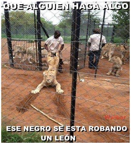 JAIDEFINICHON - TERRIBLE DE HD