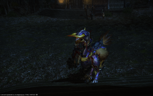 what a very pretty bird