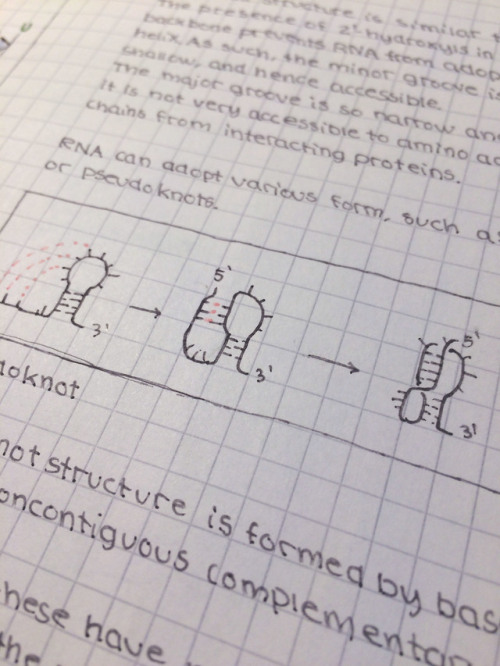 molecular biology