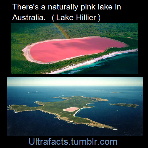ultrafacts:  Sources: 1 2 3 4 5 6 7 8 9 For more facts on your dash, follow Ultrafacts