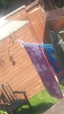 umm-ismaeel:  I really like my next door neighbors towel lol