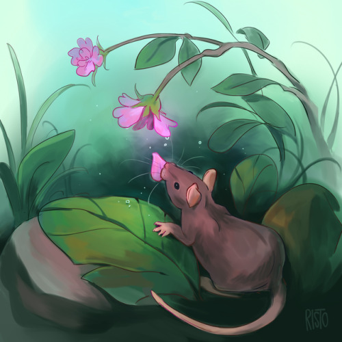 risto-licious:have you ever witnessed a wholesome moment of a little wild ratto poking their head ou