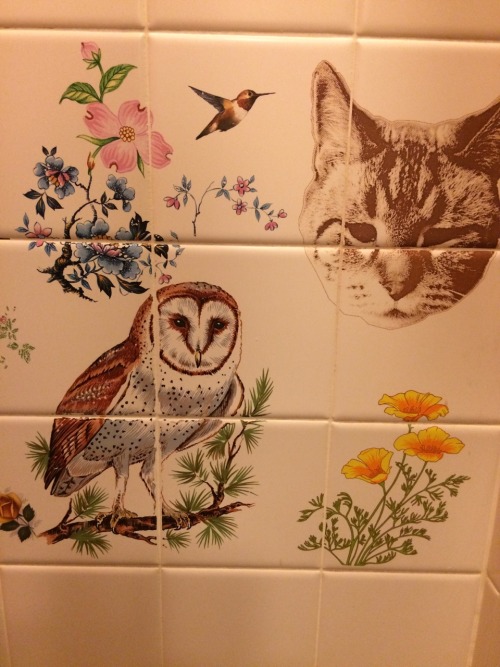 honerydew:The restrooms at this ice cream shop were the best